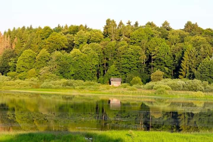 Ferienhaus Mauer Krombachtalsperre, Exclusive Nebenkosten Strom Driedorf Экстерьер фото